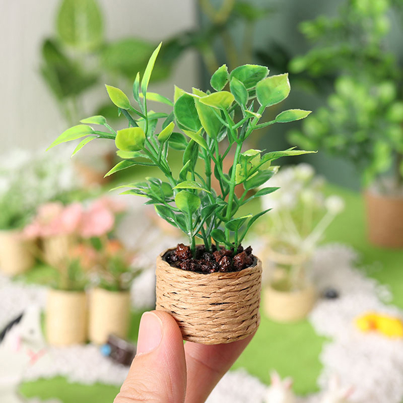 1:12 Dollhouse Mini Orange Tre – Bonsai Garden China Bewertung und Preis