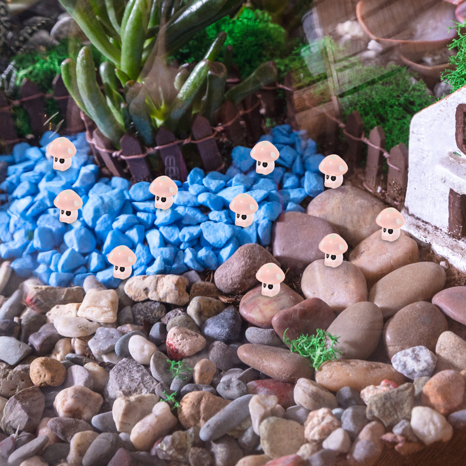 35Pcs Glow in The Dark Mushroo – Bonsai Garden Display Bewertung und Preis