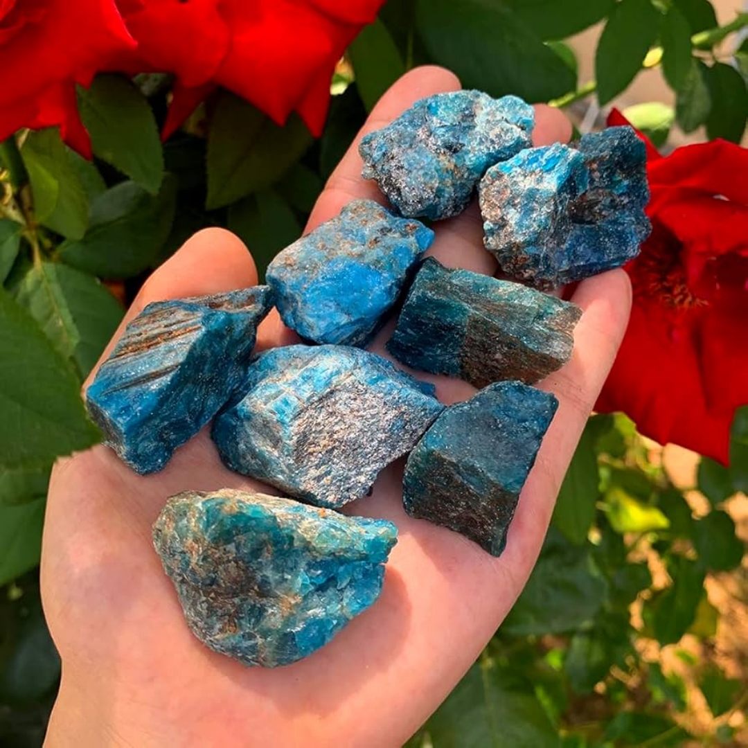 40g/120g/240g Natural Blue Apa – Bonsai Garden China Bewertung und Preis