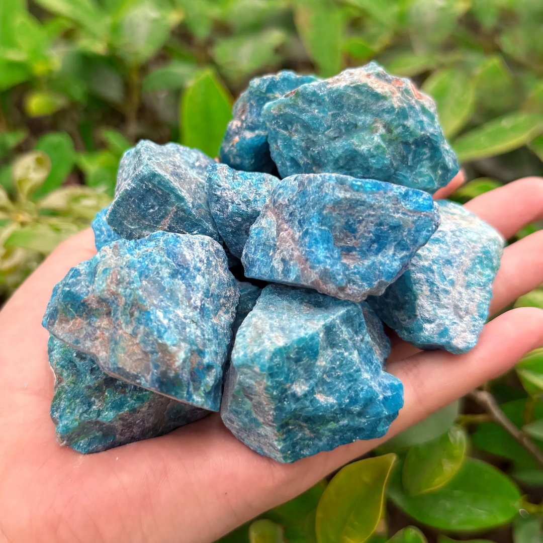 40g/120g/240g Natural Blue Apa – Bonsai Garden China Bewertung und Preis