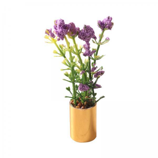Miniature Potted Plant Ornamen – Bonsai Garden Display Bewertung und Preis