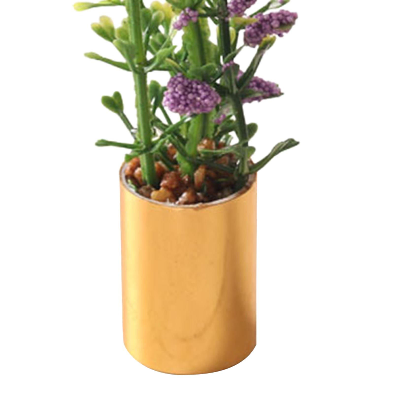 Miniature Potted Plant Ornamen – Bonsai Garden Display Bewertung und Preis