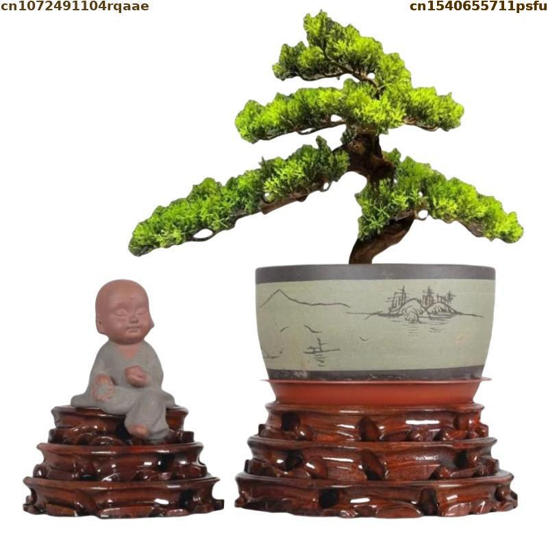 6-30cm Diameter Standing Flowe – Bonsai Garden Display Bewertung und Preis