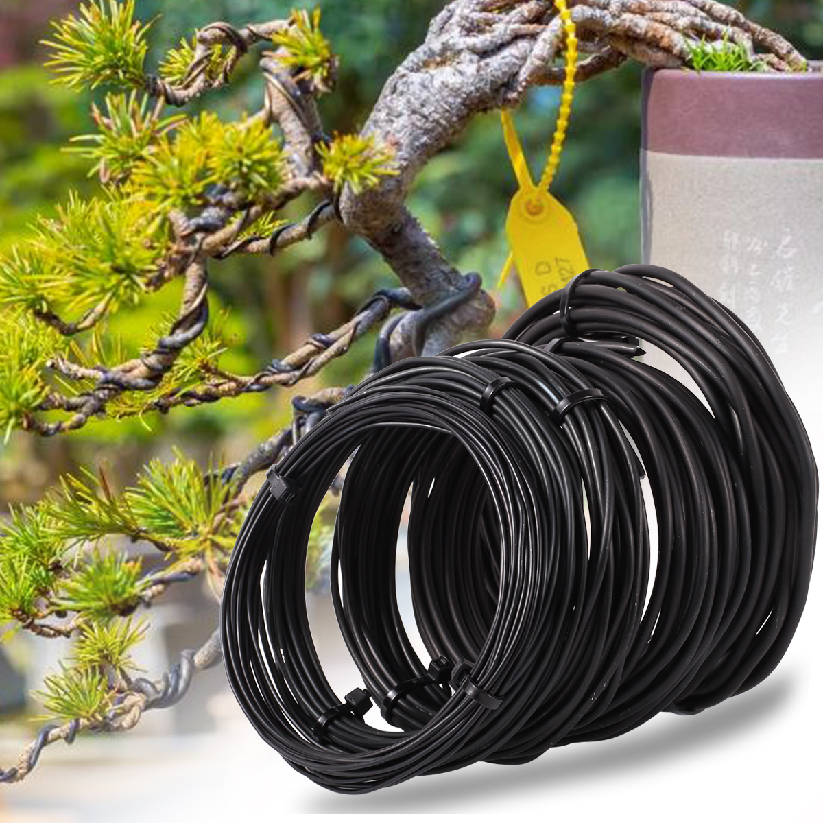 5/10m Bonsai Wire Plant Stand  – Bonsai Garden Display Bewertung und Preis