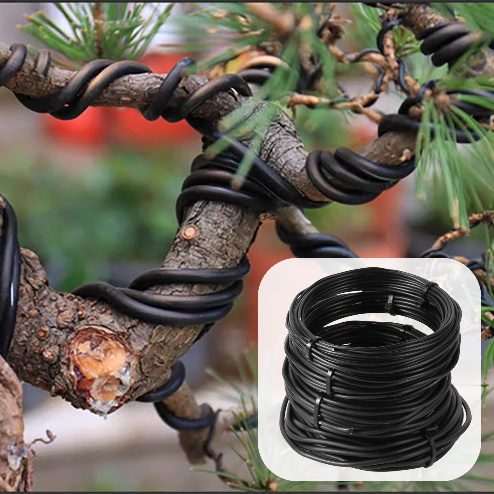 5/10m Bonsai Wire Plant Stand  – Bonsai Garden Display Bewertung und Preis