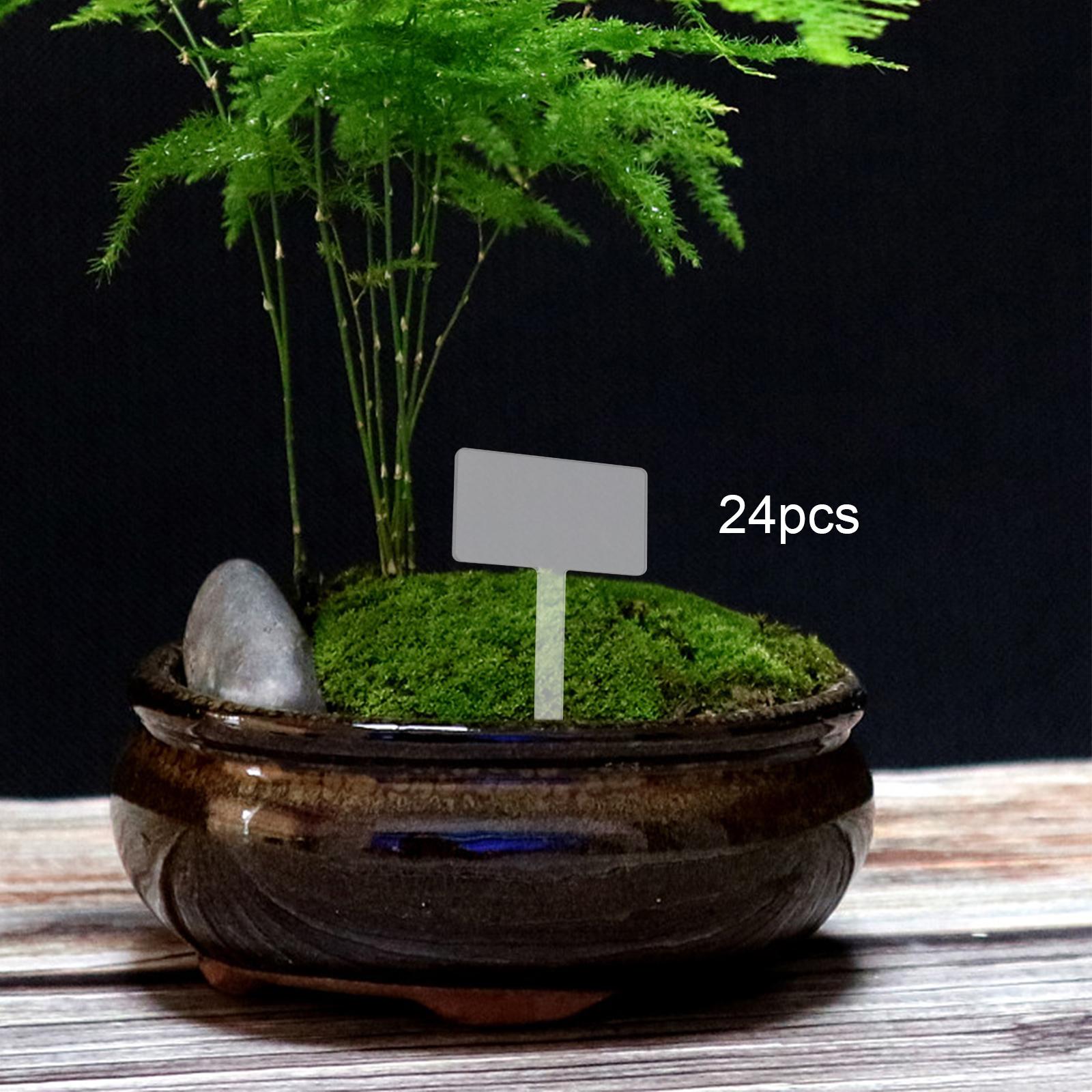 24x Acrylic Plant Tag Plant Na – Bonsai Garden Name Bewertung und Preis