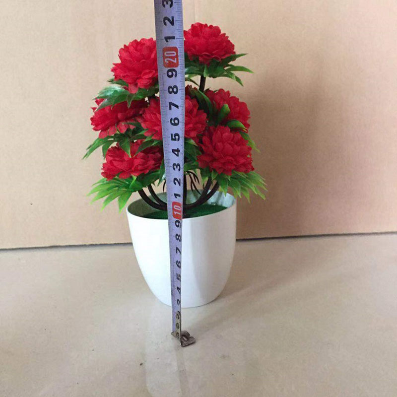 Beautiful Decoration Stylish A – Bonsai Garden Display Bewertung und Preis