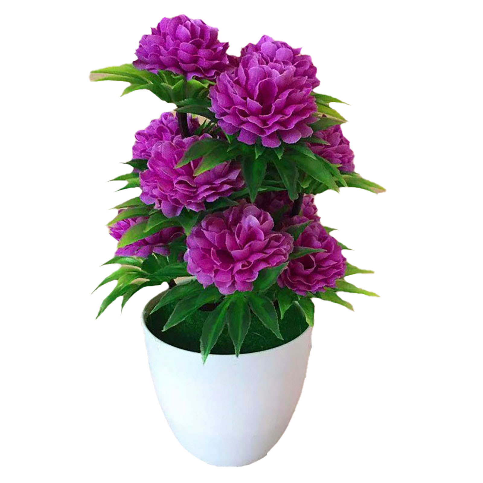 Beautiful Decoration Stylish A – Bonsai Garden Display Bewertung und Preis