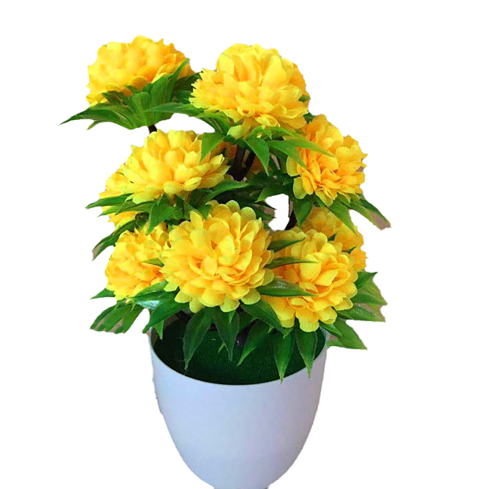 Beautiful Decoration Stylish A – Bonsai Garden Display Bewertung und Preis