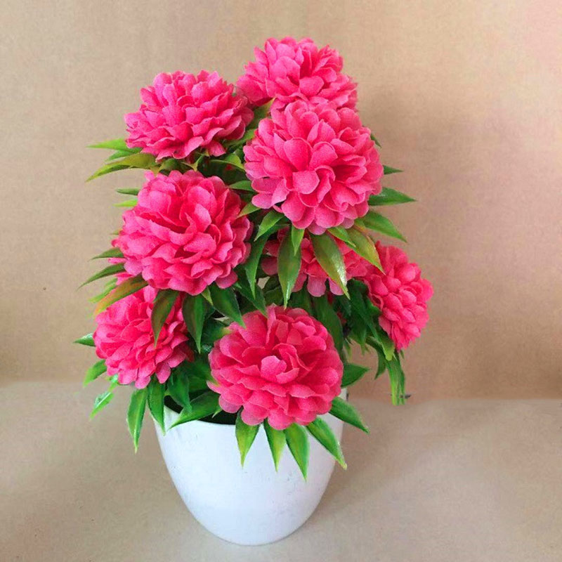 Beautiful Decoration Stylish A – Bonsai Garden Display Bewertung und Preis